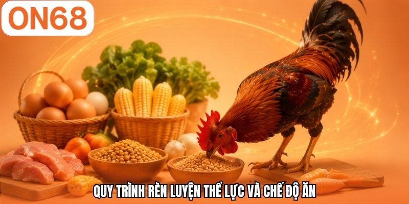 Quy tr&igrave;nh r&egrave;n luyện thể lực v&agrave; chế độ ăn